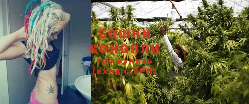 Каннабис White Widow  как найти закладки  Кувандык 